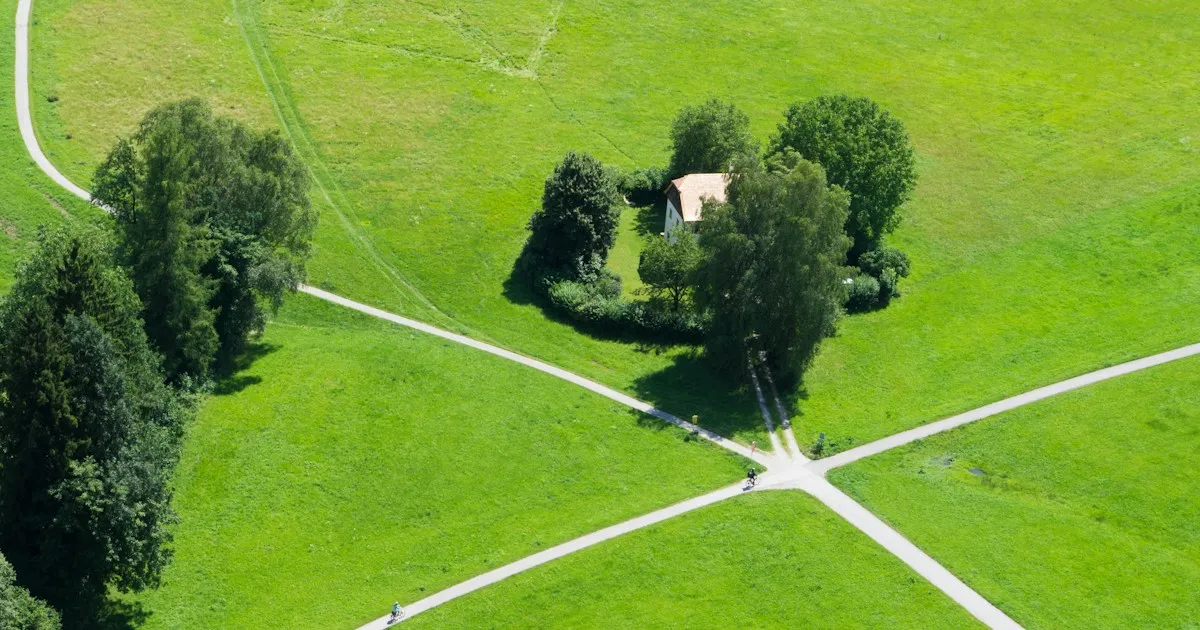 Vue aérienne d'un carrefour de chemins blancs au milieu d'un pré vert, avec un petit bosquet