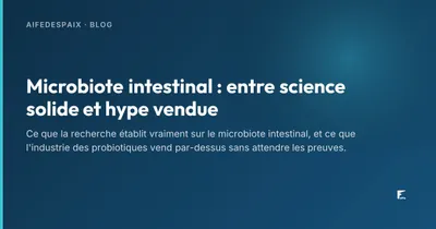 Bocaux de fermentation posés sur un plan de travail, lumière rasante