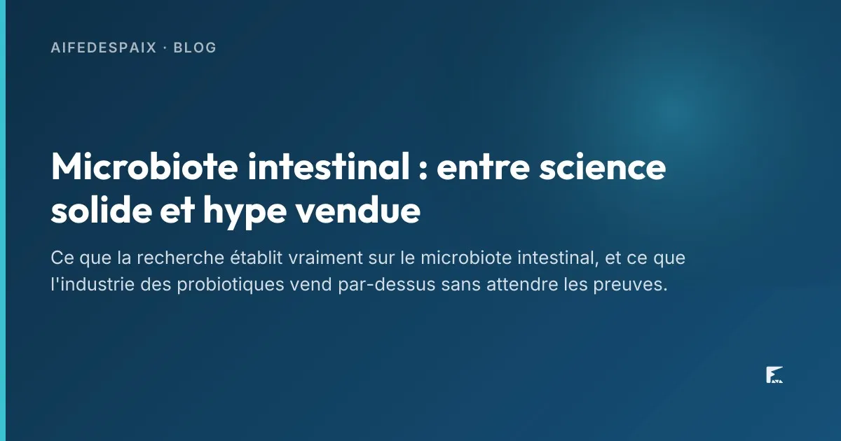 Bocaux de fermentation posés sur un plan de travail, lumière rasante